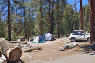 Sequoia NP, CA
