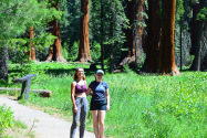 Sequoia NP, CA