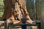 Sequoia NP, CA