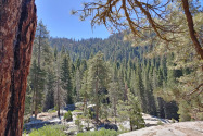 Sequoia NP, CA