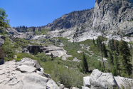 Sequoia NP, CA