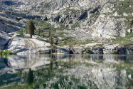 Sequoia NP, CA