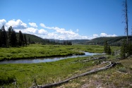 Yellowstone NP, WY