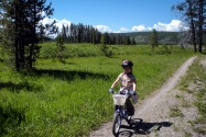 Yellowstone NP, WY