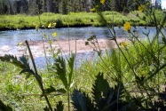 Yellowstone NP, WY