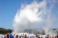 Yellowstone NP, WY