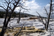 Yellowstone NP, WY