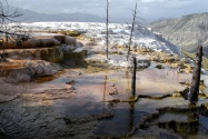 Yellowstone NP, WY