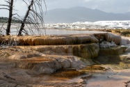 Yellowstone NP, WY