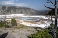 Yellowstone NP, WY