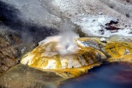 Yellowstone NP, WY
