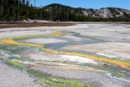 Yellowstone NP, WY