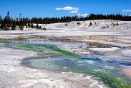 Yellowstone NP, WY