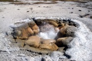 Yellowstone NP, WY