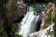 Yellowstone NP, WY