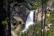 Yellowstone NP, WY