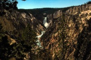 Yellowstone NP, WY