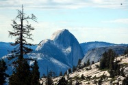 Yosemite NP, CA