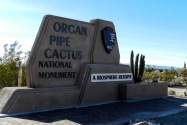 Organ Pipe Cactus NM, AZ