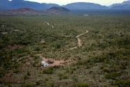 Organ Pipe Cactus NM, AZ