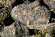 Painted Rock Petroglyph, AZ