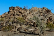 Painted Rock Petroglyph, AZ