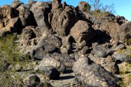 Painted Rock Petroglyph, AZ