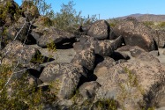 Painted Rock Petroglyph, AZ