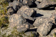 Painted Rock Petroglyph, AZ