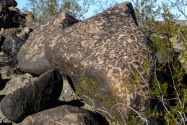 Painted Rock Petroglyph, AZ