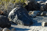 Painted Rock Petroglyph, AZ