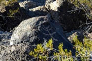 Painted Rock Petroglyph, AZ
