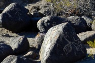 Painted Rock Petroglyph, AZ