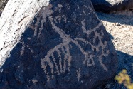 Painted Rock Petroglyph, AZ