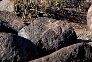 Painted Rock Petroglyph, AZ