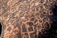 Painted Rock Petroglyph, AZ