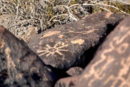 Painted Rock Petroglyph, AZ