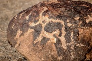 Painted Rock Petroglyph, AZ
