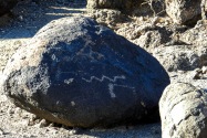Painted Rock Petroglyph, AZ