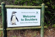 Boulders Beach SA