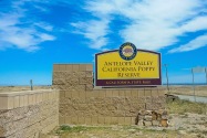 Antelope Valley Poppy Reserve CA