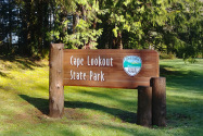 Cape Lookout SP OR