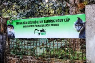 Cúc Phương NP, Vietnam