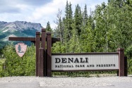 Denali NP AK