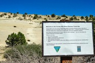 Dinosaur Tracks Escalante UT