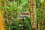 Explorama Lodge, Peruvian Amazon