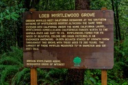 Loeb Myrtlewood OR