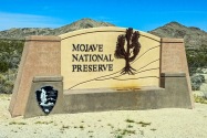 Mojave NP CA