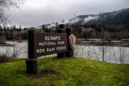 Olympic National Park WA