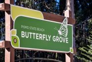 Pismo Beach CA